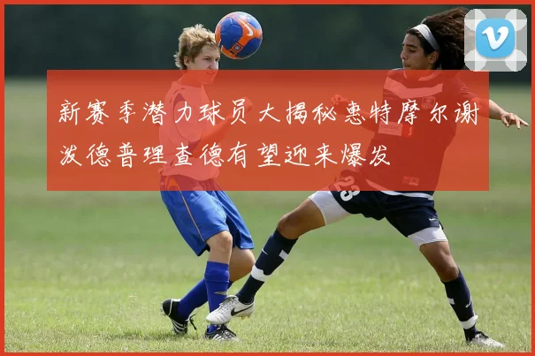 新赛季潜力球员大揭秘惠特摩尔谢泼德普理查德有望迎来爆发