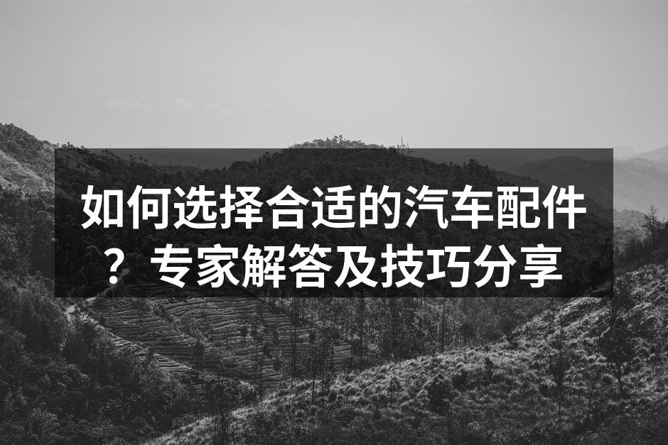 专业汽车配件展示